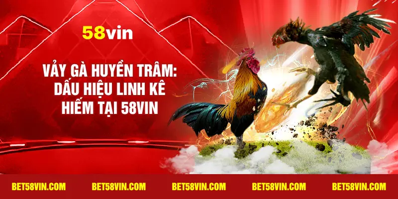 Vảy Gà Huyền Trâm: dấu hiệu linh kê hiếm tại 58vin