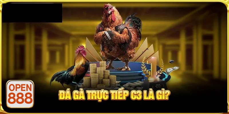 Đá gà tre - Tốc độ thi đấu nhanh và diễn biến khó đoán